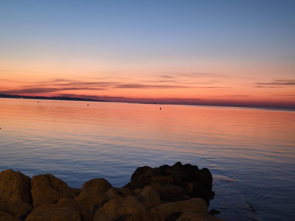 Michel de Cannes tweet media