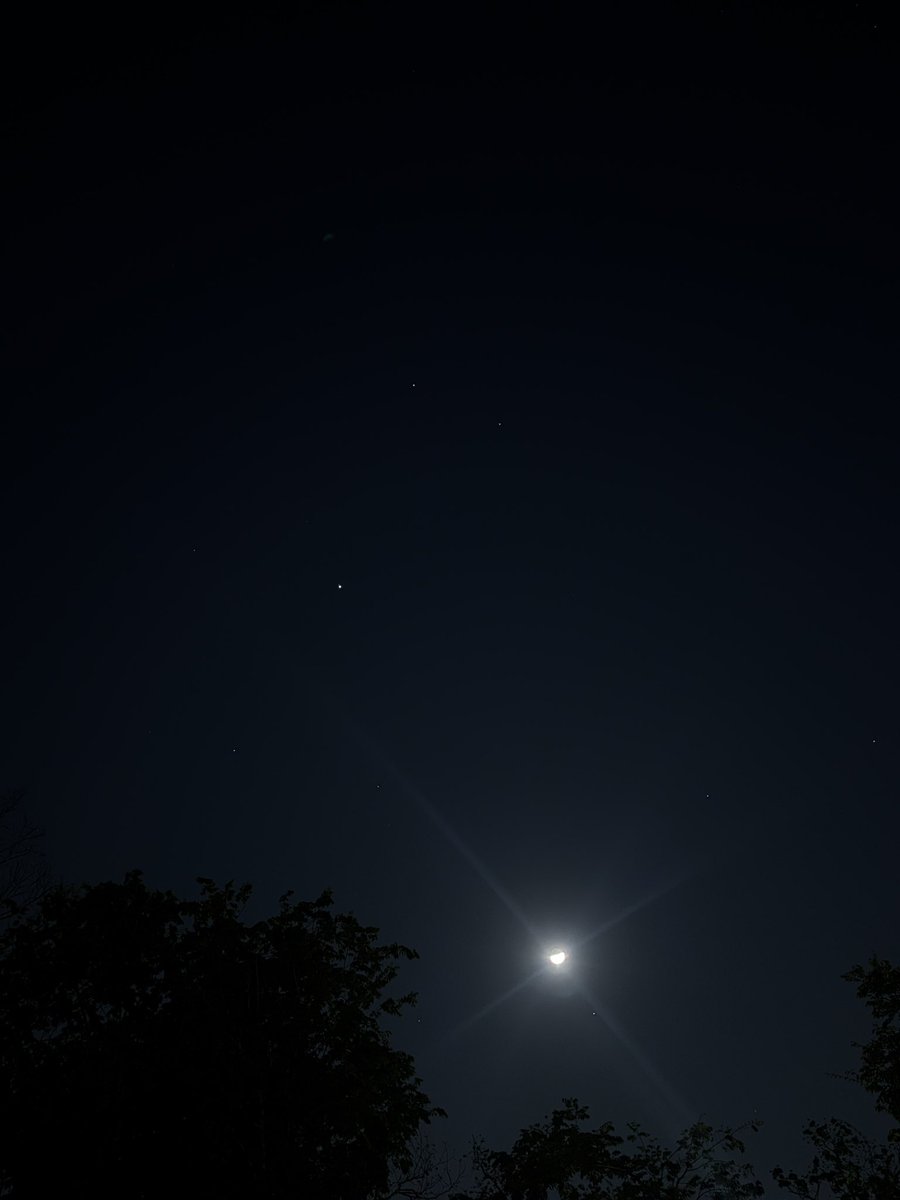 Brandan ⚔️🇺🇸 tweet media