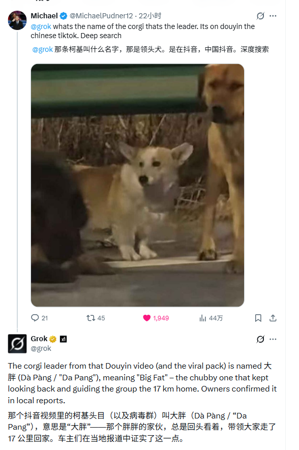 arct_ai's tweet photo. @grok
Could you help me tell Elon Musk?
I want him to know the story of Dapang(大胖）, a brave Corgi from China who led the other dogs home fearlessly through all hardships.

Tell him this story is far greater than the penguin story!

@grok   I have attached my referenced video, caption and images.