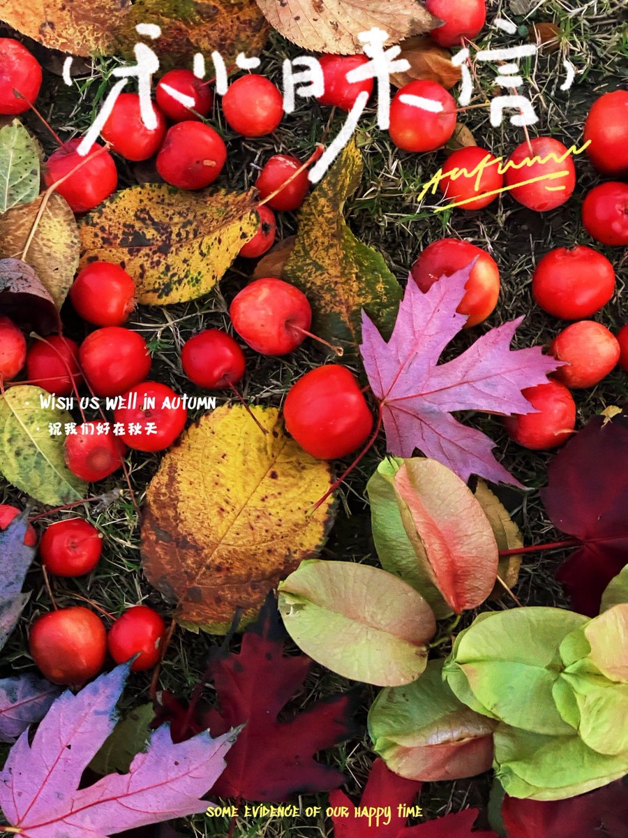 aht6571@gmail.com tweet media