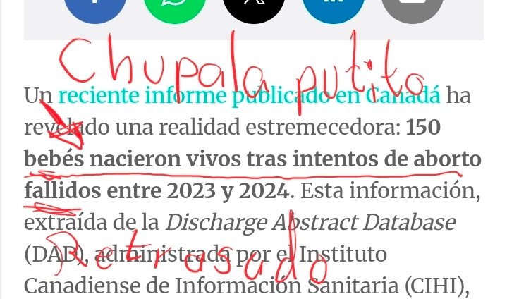 Blood Sucker Erzebeth tweet media