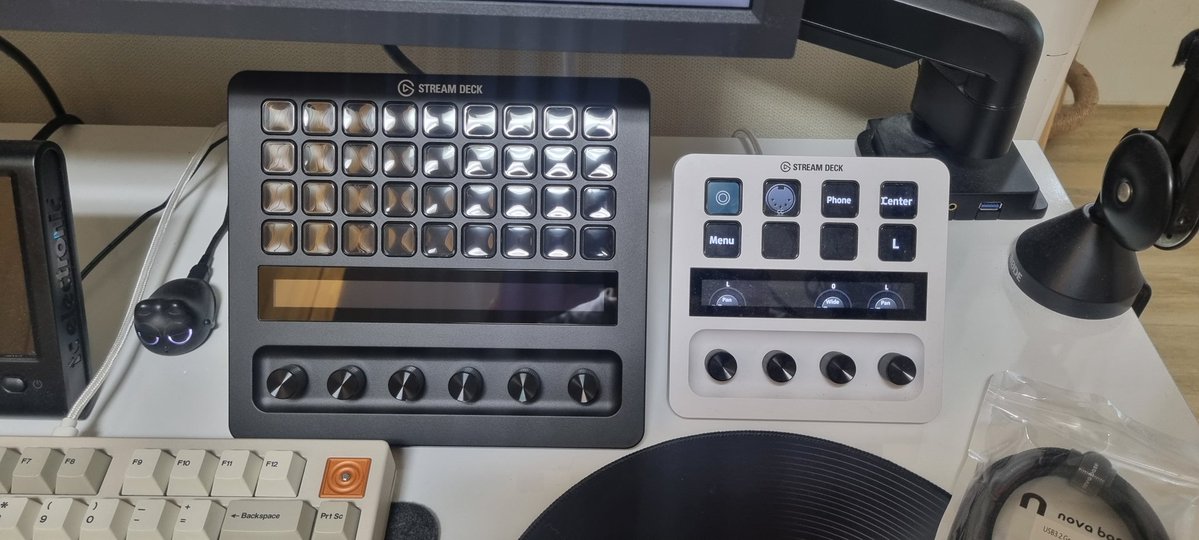 비스투스 tweet media