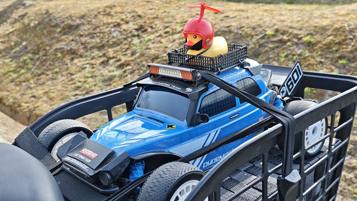 ワンダラー tweet media