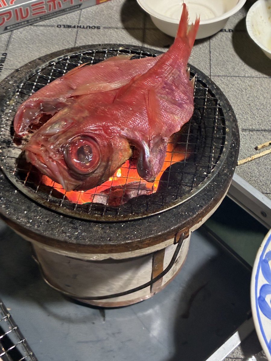 しゅーせー@松原周勢/ShuseiMatsubara tweet media