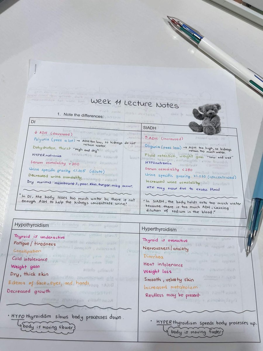 Remi 🐰🩺 Nursing Student IRL ✙ VTuber tweet media