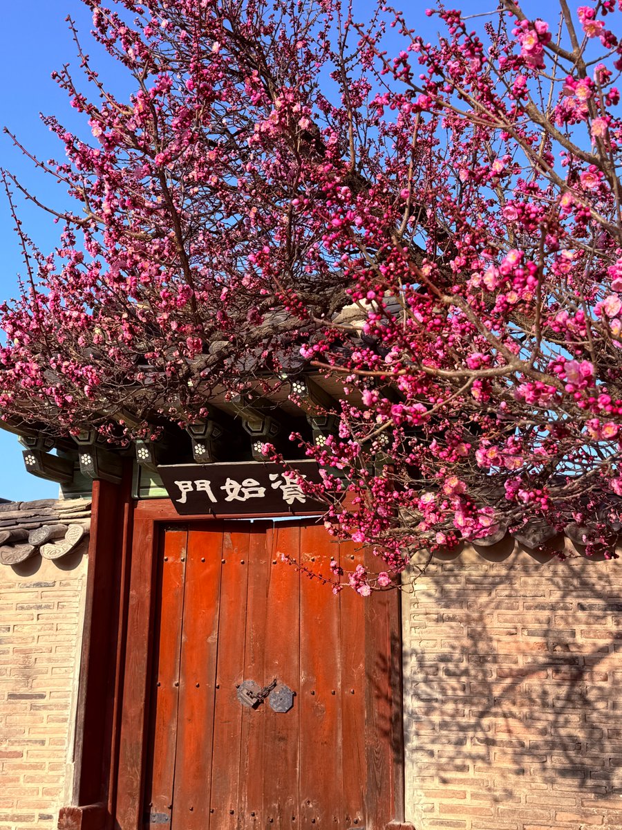 창덕궁 tweet media