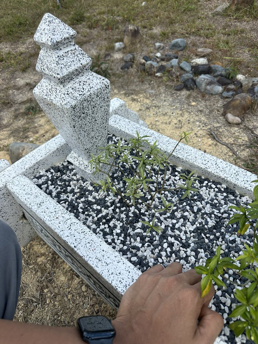 M.K Izzuddin tweet media