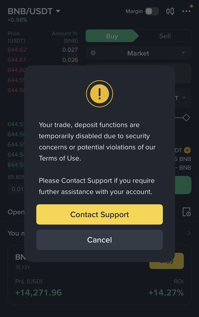 MitaoCatCS tweet media