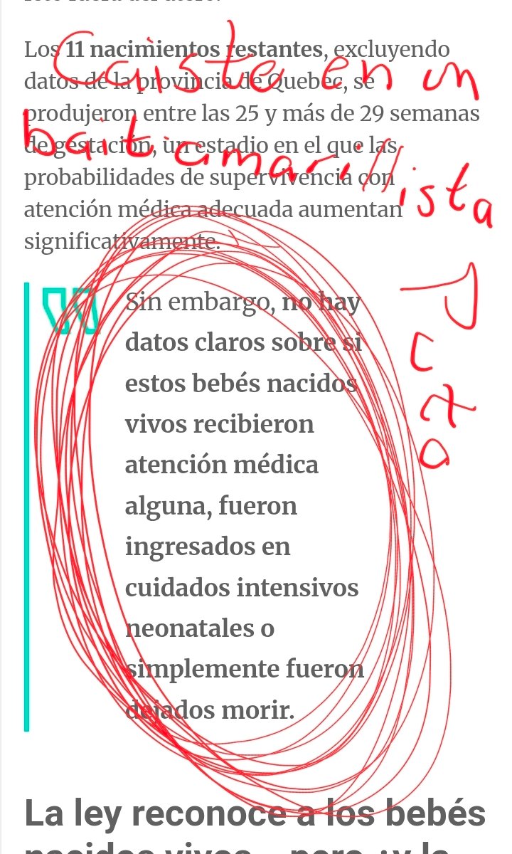 Blood Sucker Erzebeth tweet media