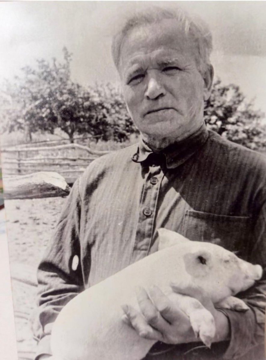 bona fide tweet media