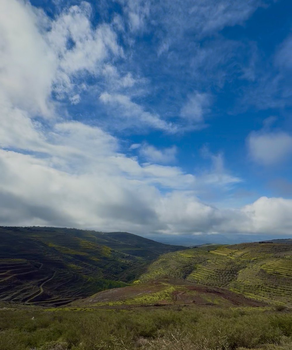 طـارـق tweet media