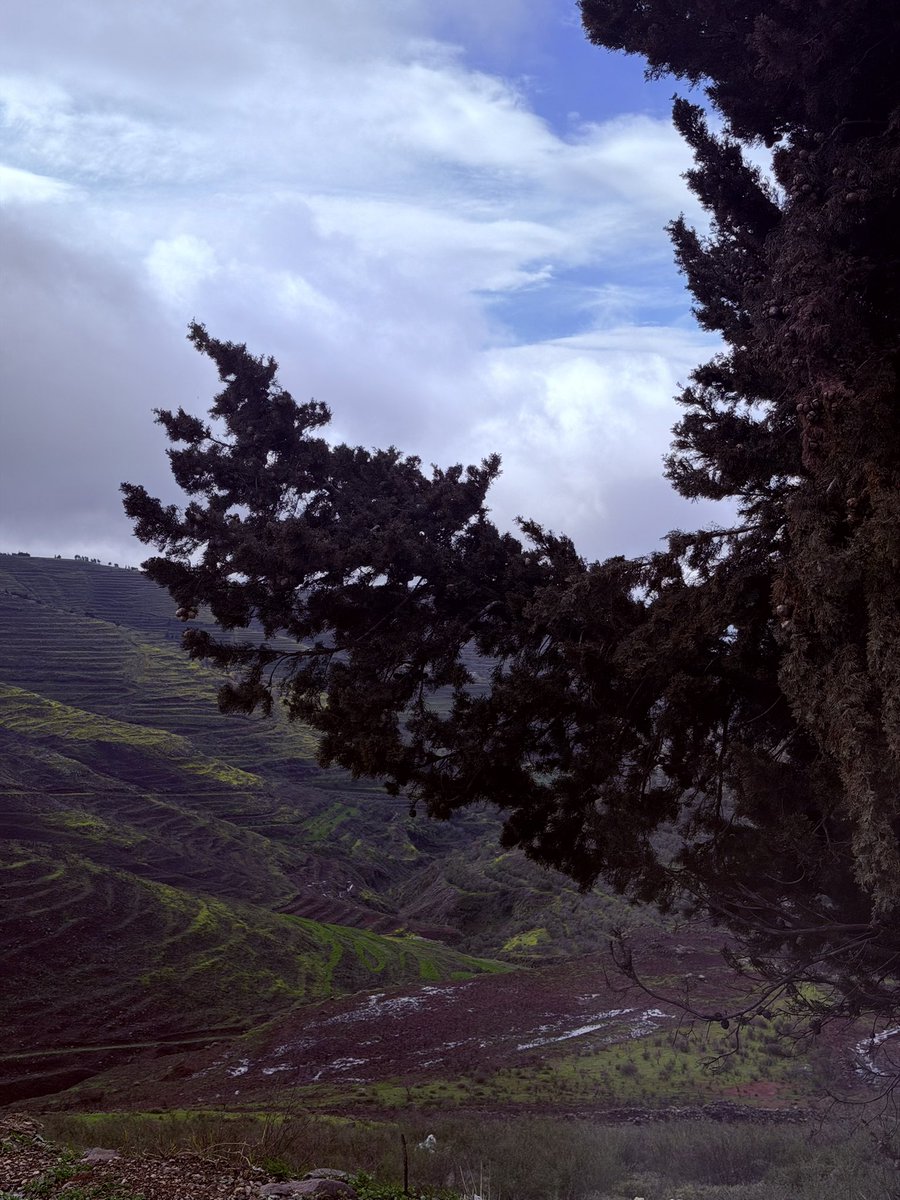 طـارـق tweet media