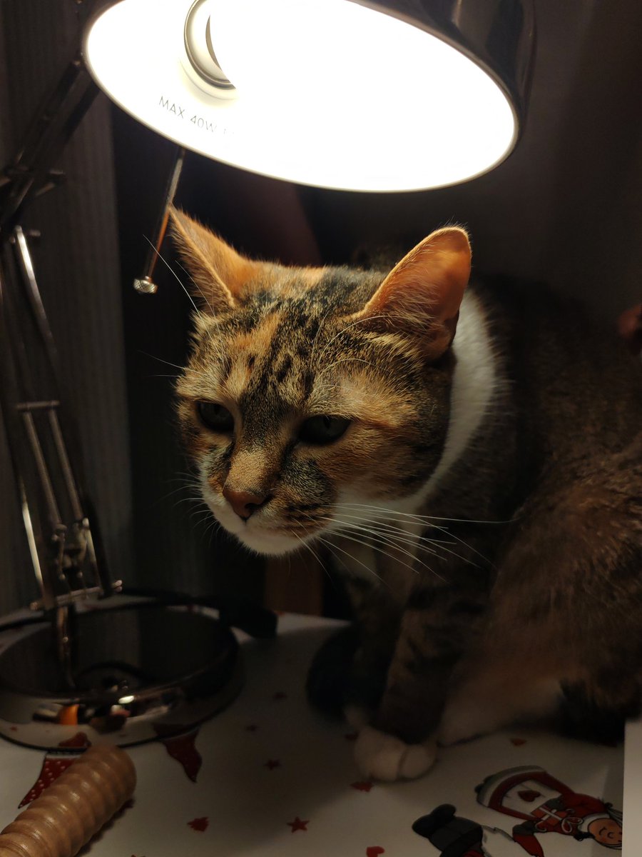 Ruby McBoobie tweet media