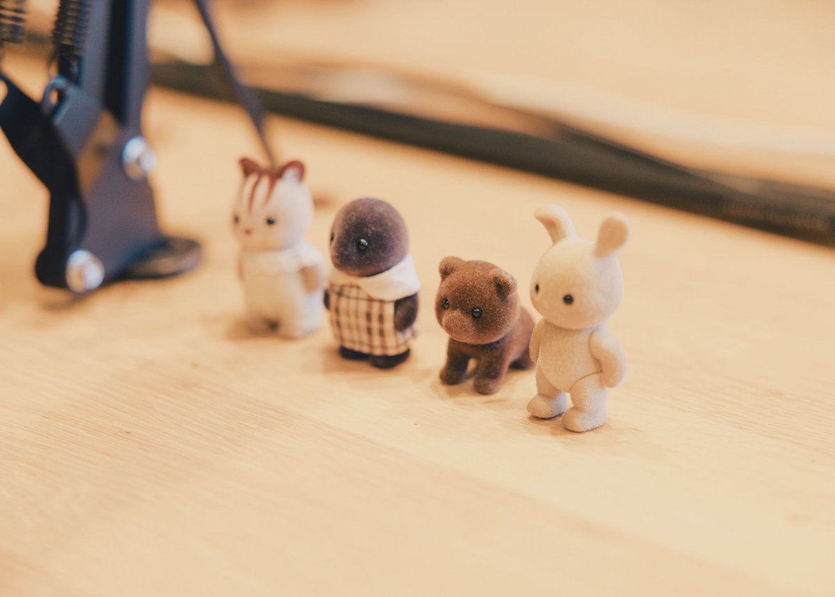 関取 花 tweet media