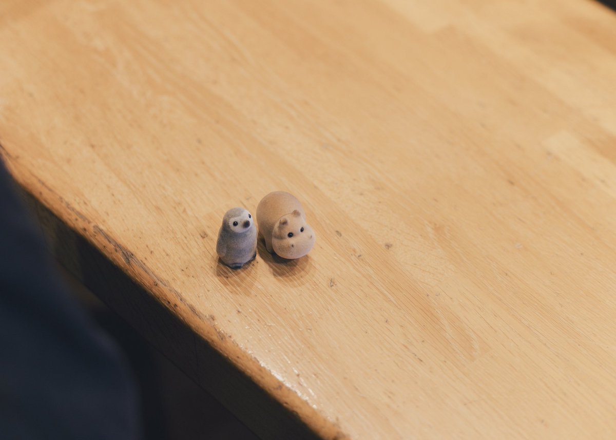 関取 花 tweet media