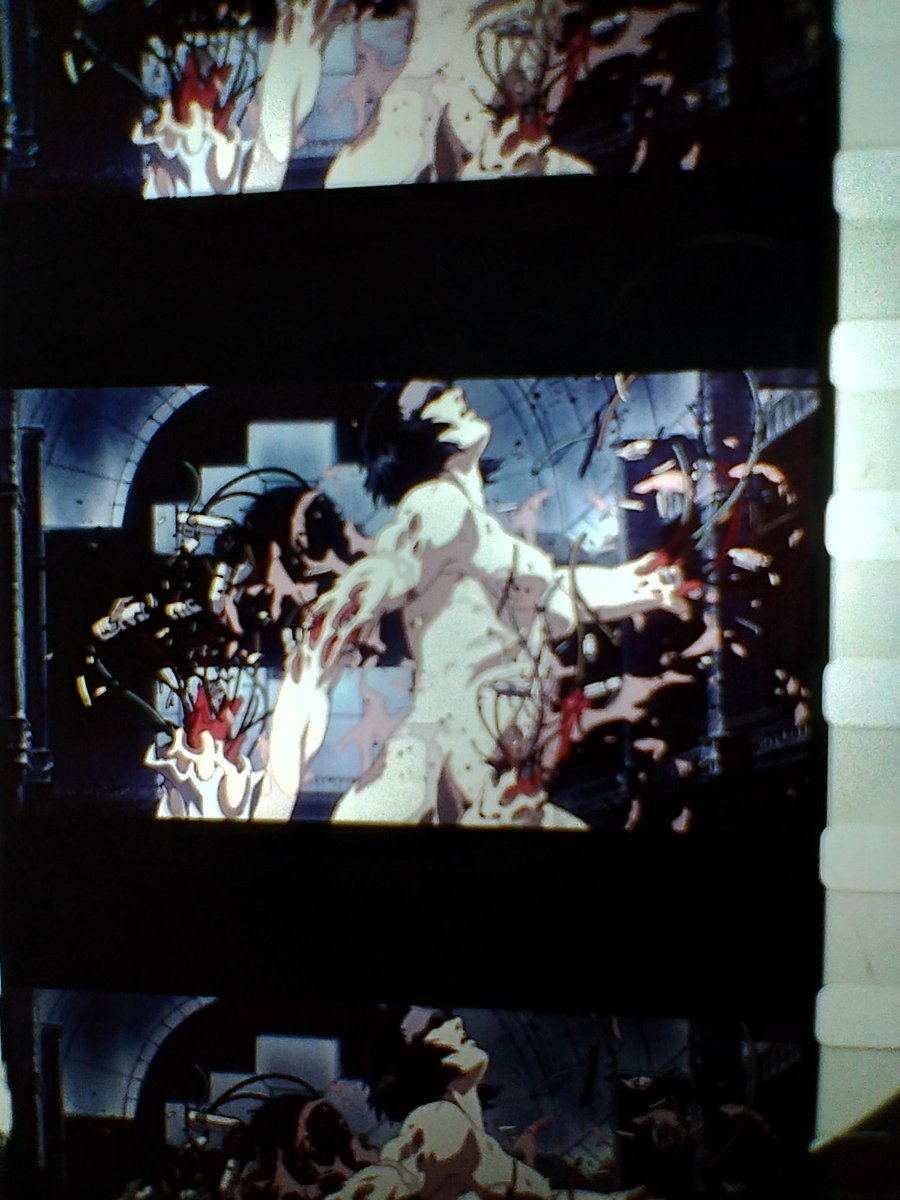 sora4691's tweet image. 攻殻機動隊展行ってきた。やっぱり攻殻機動隊はカッコいい☺️
最近ハマっている3Dプリンターで素子を印刷してみました。
#攻殻機動隊展
#3Dプリンター
#Flashforgead5x