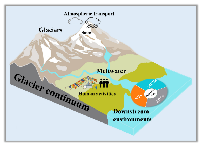 New Community tweet media