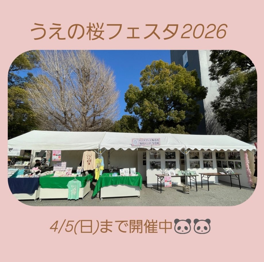 パンダ専門店・大阪ぱんだ tweet media