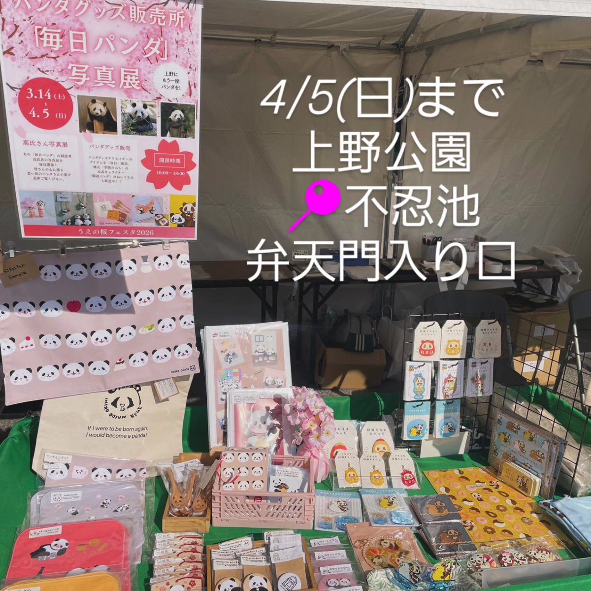 パンダ専門店・大阪ぱんだ tweet media