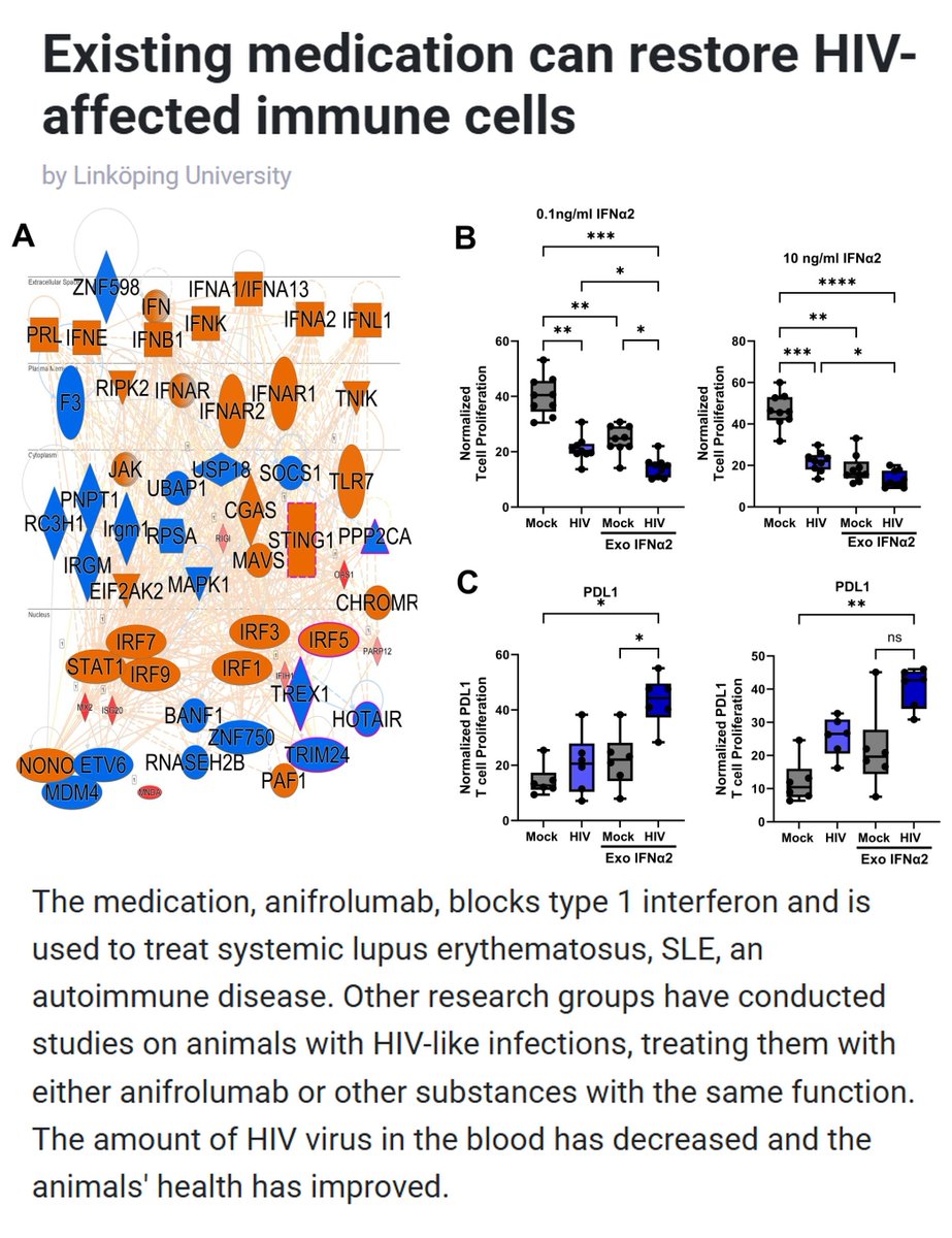 Vaccinologist's tweet image. #HIV overactivates the #immunesystem, causing long-term dysfunction. New research from @liu_universitet shows the #lupus drug #anifrolumab may restore immune cell function, opening the door to immune repair strategies alongside antivirals. #Immunology linkedin.com/posts/drmelvin…