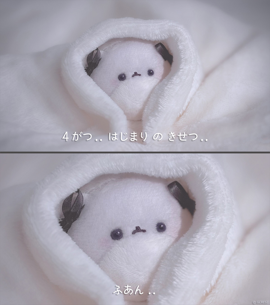 ちょむちゃん🛸ゥ星人〖公式〗 tweet media