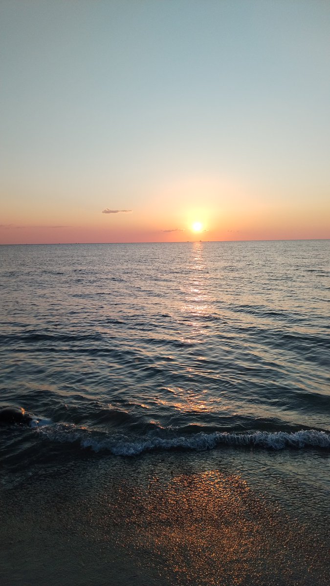 ghirigoro rogighiro  tweet media