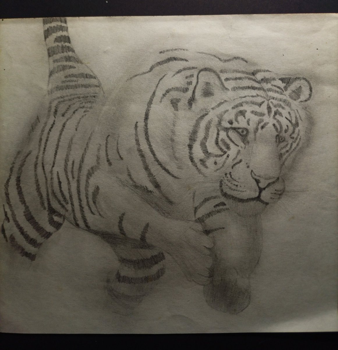 Indigozz7's tweet photo. Otro dibujo bien viejo que hice a los 17 https://t.co/8xT12A14qc