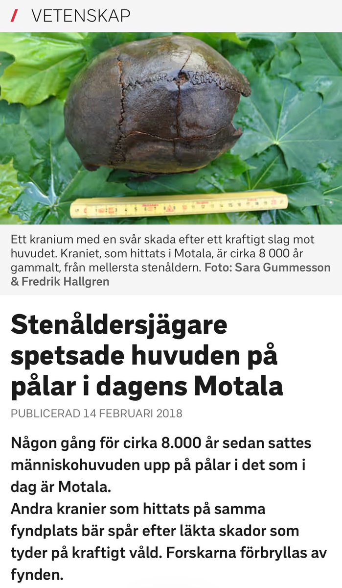 Niklas Orrenius tweet media