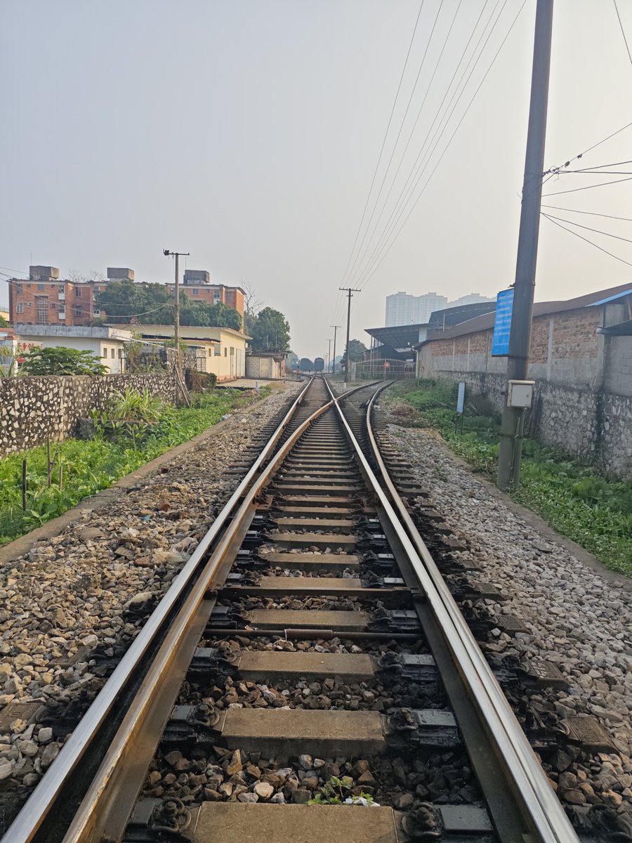 麟缨岚 tweet media