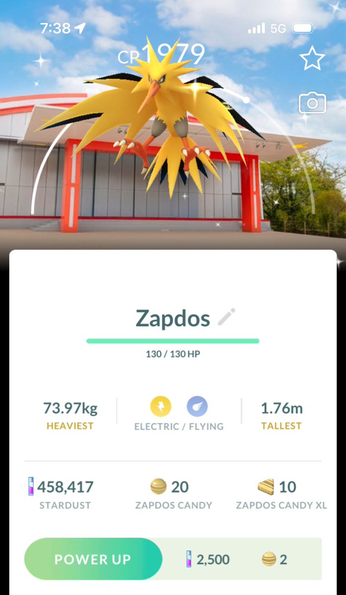 All You Can Eat WOBBUFFET tweet media