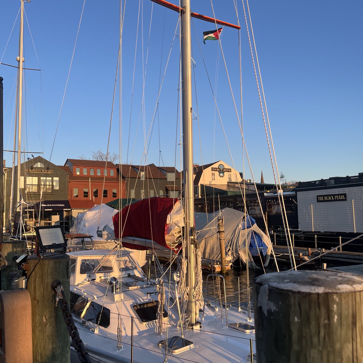 have you ever found out about the global cow fanbase bc ppl love big fat cows so much