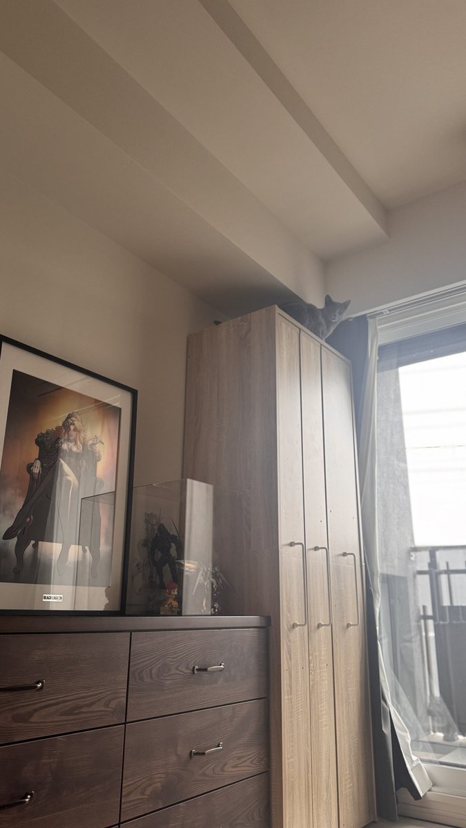 ﾊﾟﾈﾀﾞ tweet media