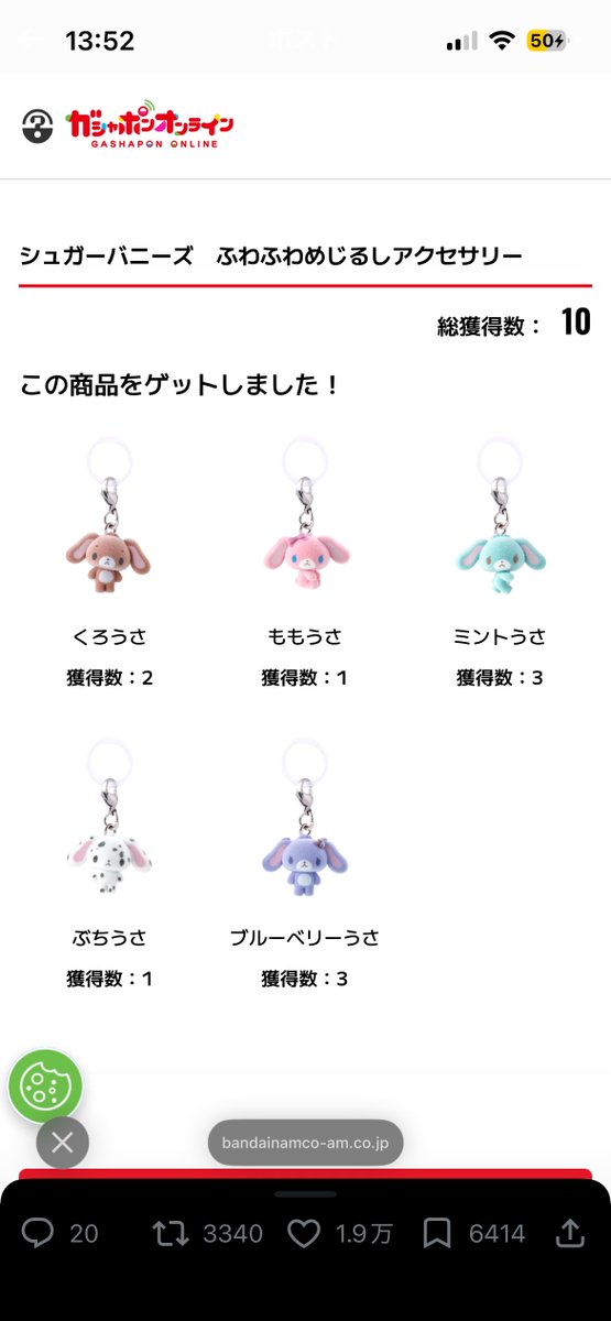 狛犬ぽち🧸🍓ラフェス連番相手募集中 tweet media