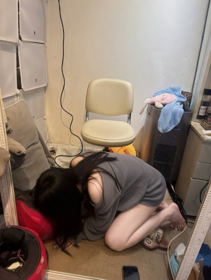 萝莉岛（世界） tweet media