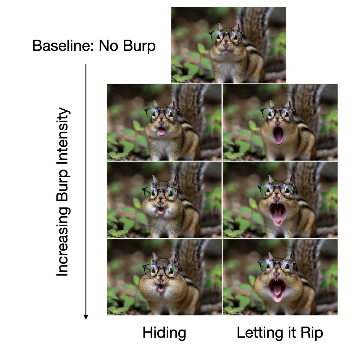 Dad Jokes Animals tweet media