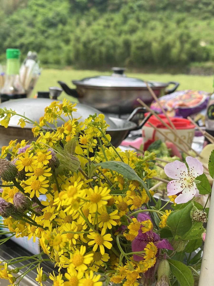 Karen Myers tweet media