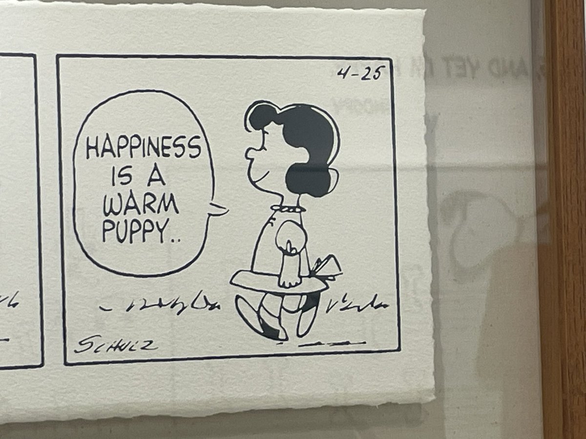 존레논나페스 궁금하신분만 제 트윗 읽어보세요 tweet media