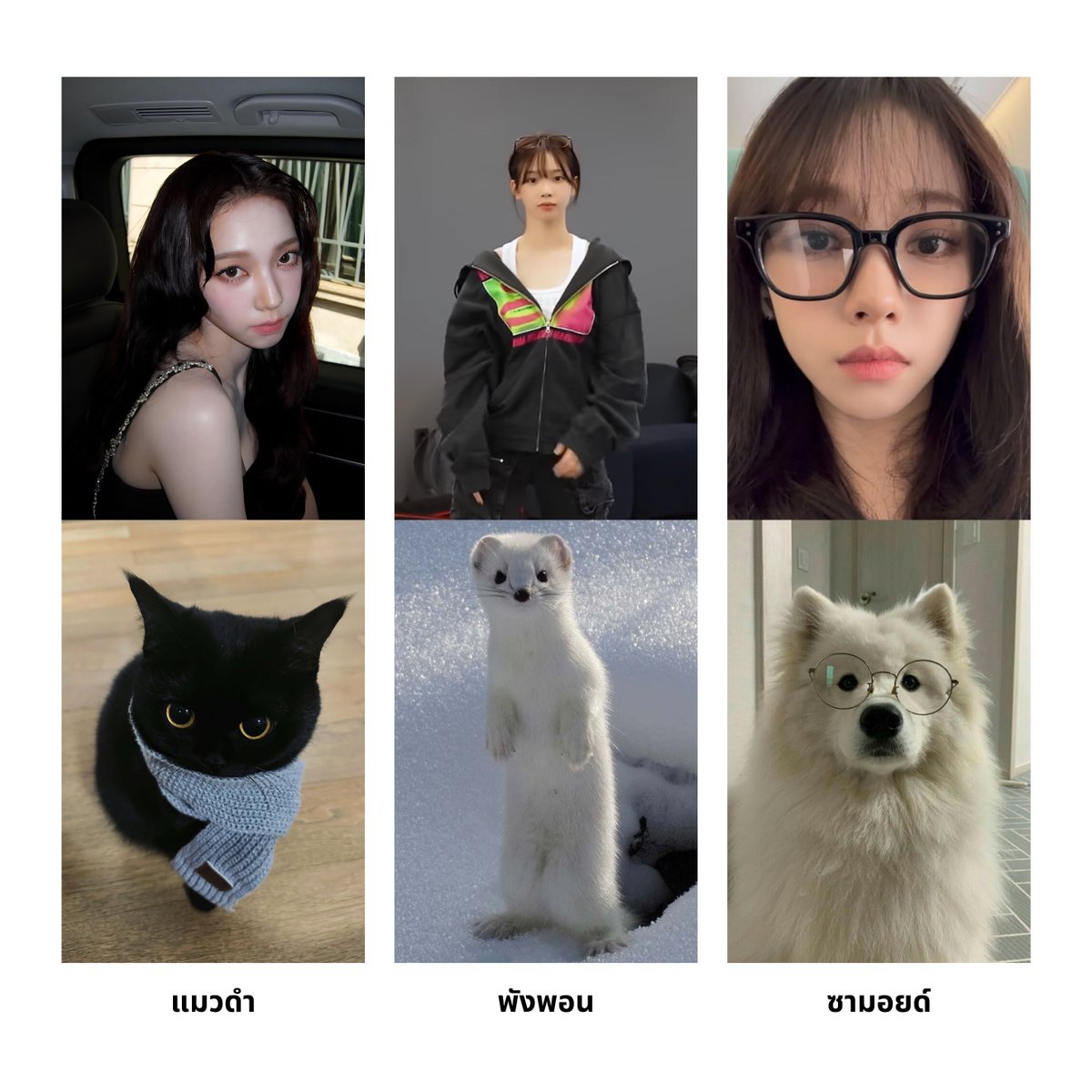 BE MY KARINA THAILAND tweet media