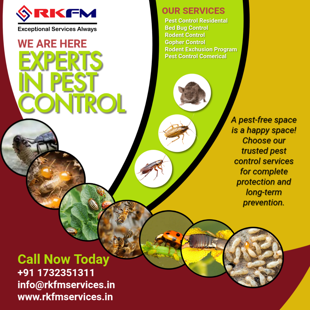 rkfmservices's tweet image. A pest-free space is a happy space! ✨ Choose our trusted pest control services for complete protection and long-term prevention.#PestFreeLiving #CommercialCleaning #ResidentialServices #TermiteCare #RodentFree #SanitarySpace #FacilityServices #PreventiveCare #TrustedService