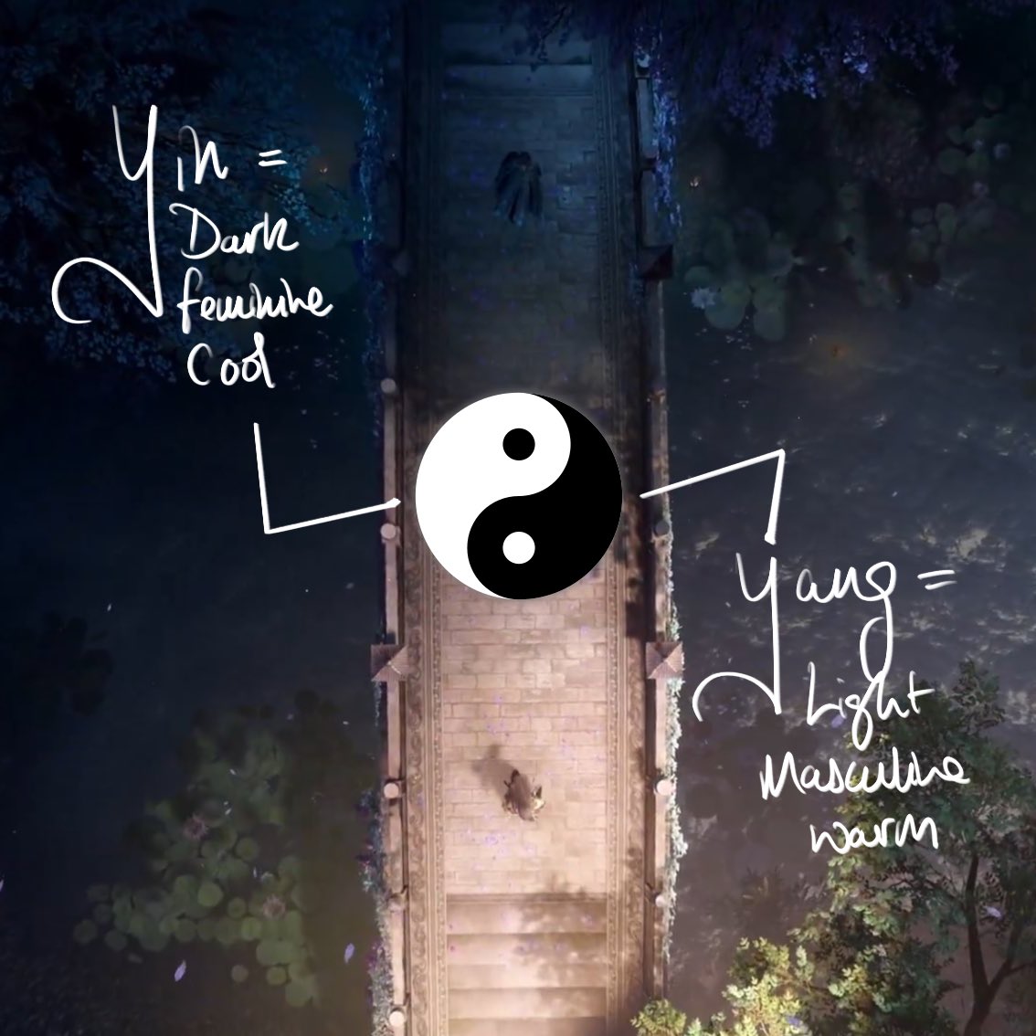 Zafina ❄️🐦‍⬛🍎🐟⭐️ tweet media