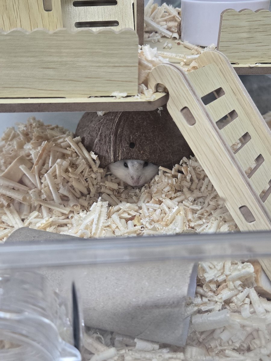 😈코너P😈 tweet media