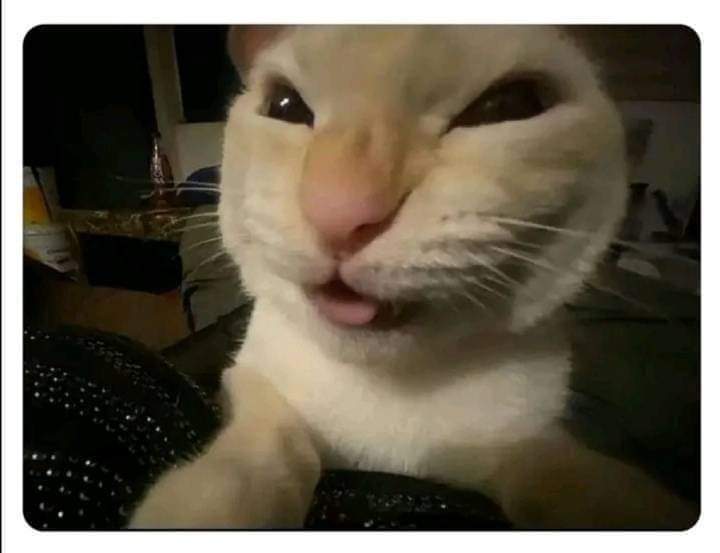 Miguel Ángel 🐢 tweet media