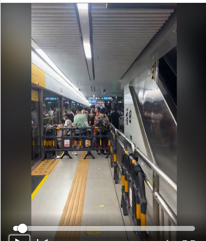 sylvia ploth tweet media