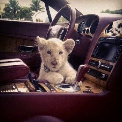 ابوفهيد tweet media