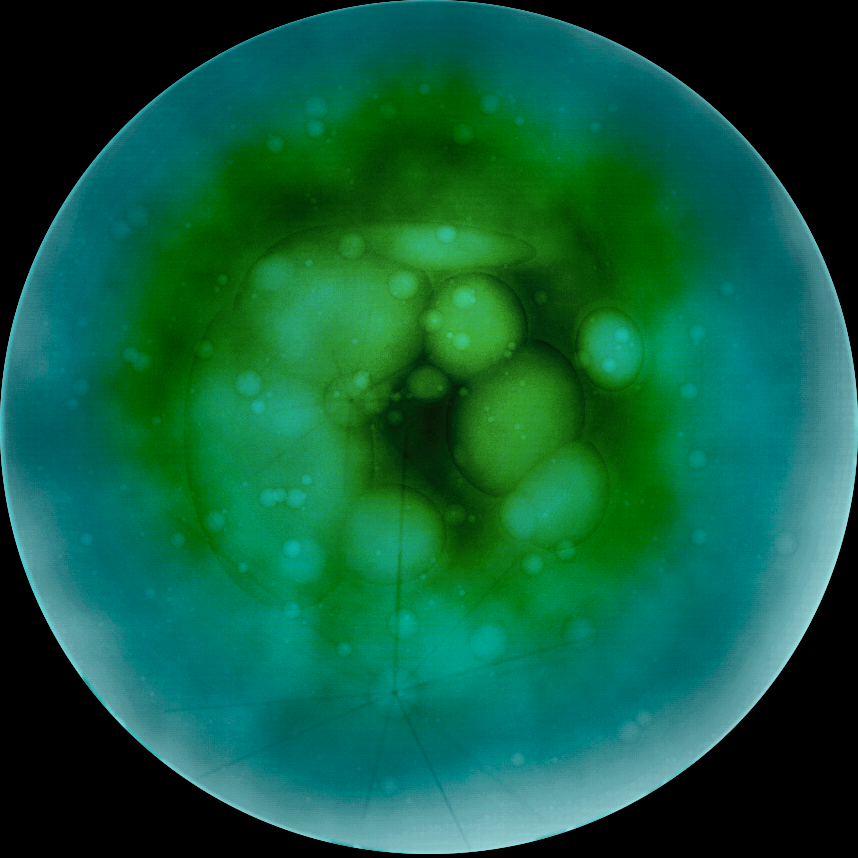 BigBen - BigBenBuilds - 1.618 tweet media