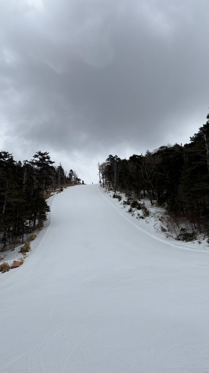 野麦峠スキー場@営業中 tweet media