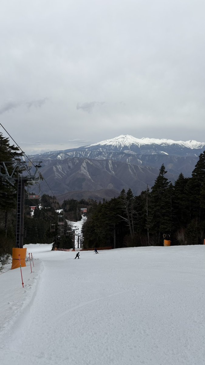 野麦峠スキー場@営業中 tweet media