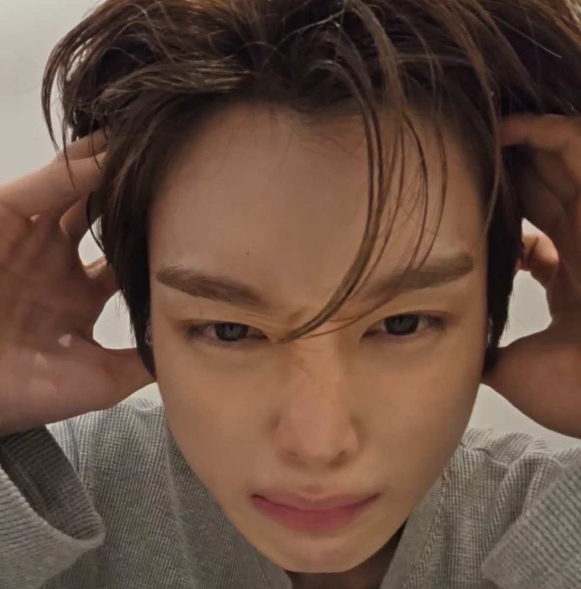 wt ♡ ˚. tweet media