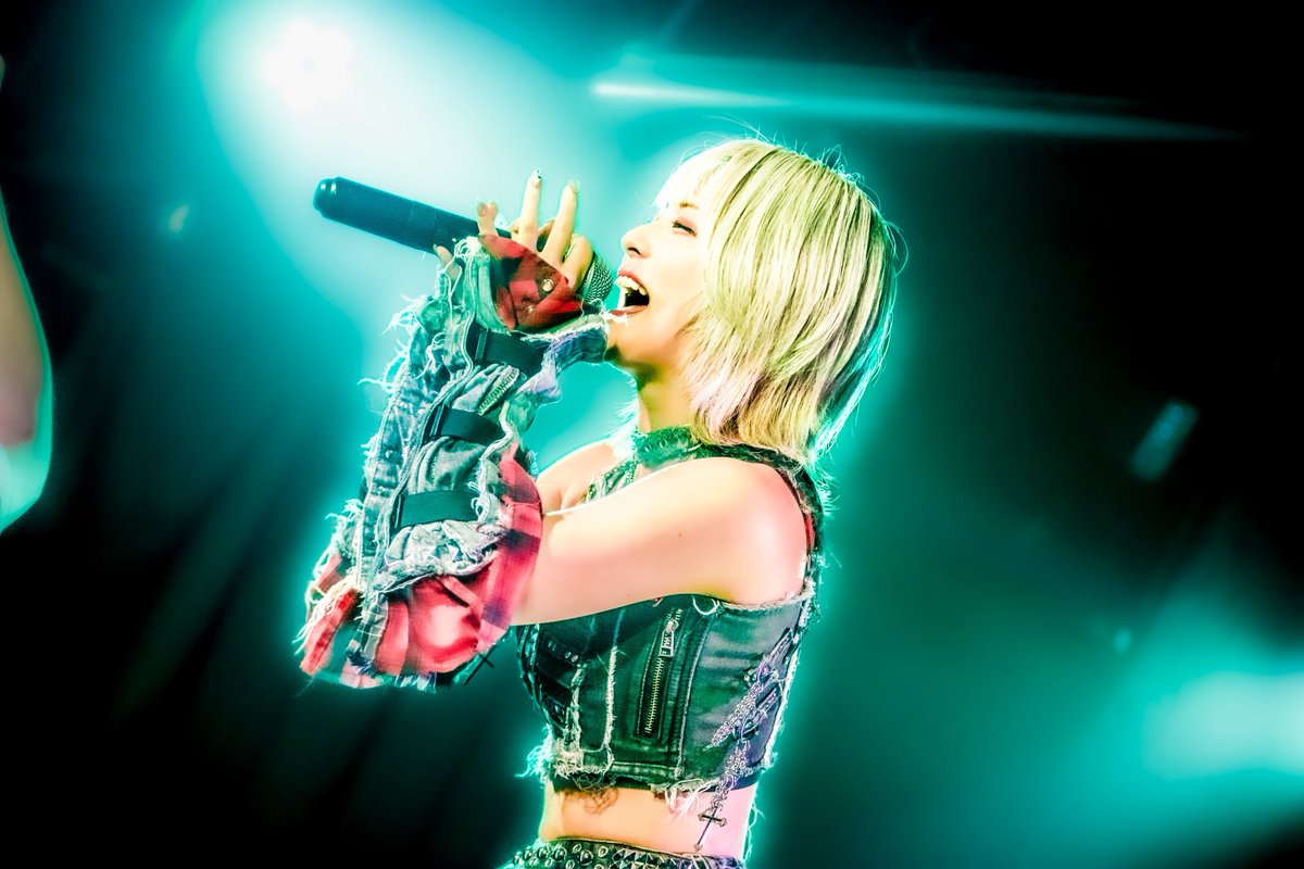 ぬこべ・めろモガ北の大地遠征ロス・キルミスター(栃) tweet media