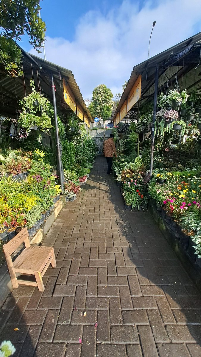 ndah 👩‍🌾🌹🌻 tweet media